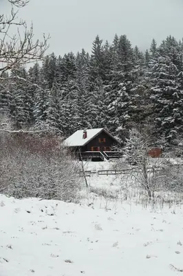 L'établissement Chalet à 5 minutes de Gérardmer avec étang en hiver