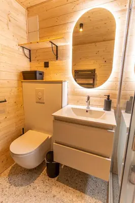 Salle de bains dans l'établissement Chalet à 5 minutes de Gérardmer avec étang
