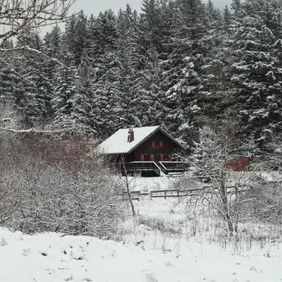 Chalet à 5 minutes de Gérardmer avec étang