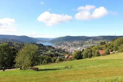 Paysage naturel près de l'appartement
