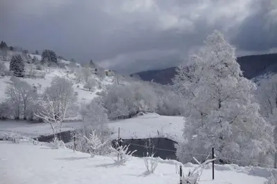 L'établissement Gîte Jonquille en hiver
