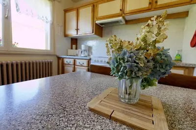 Cuisine ou kitchenette dans l'établissement Gîte Jonquille