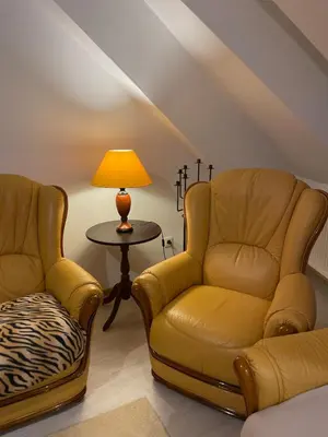 Coin salon dans l'établissement Appartement cosy au cœur de Colmar