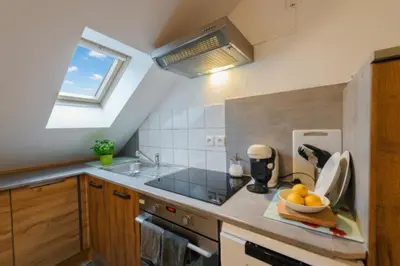 Cuisine ou kitchenette dans l'établissement Appartement cosy au cœur de Colmar