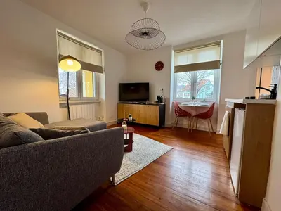 Télévision ou salle de divertissement dans l'établissement LE GRENAT Appartement Cosy - Route des Vins - Proche Colmar