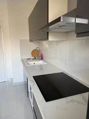 Cuisine ou kitchenette dans l'établissement Newly renovated Private Parking Wifi in Mulhouse