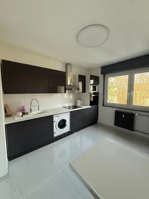 Cuisine ou kitchenette dans l'établissement Newly renovated Private Parking Wifi in Mulhouse