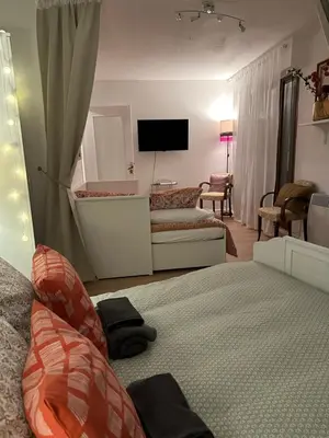 Télévision ou salle de divertissement dans l'établissement Charming apartment in the heart of Colmar