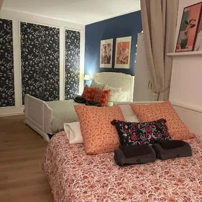 Charming apartment in the heart of Colmar