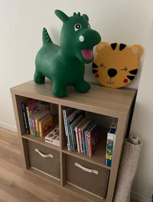 Bibliothèque dans l'appartement