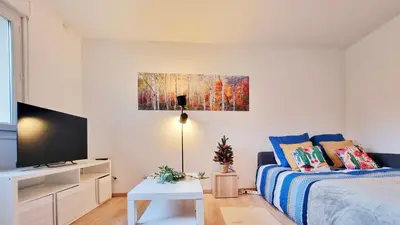 Télévision ou salle de divertissement dans l'établissement Les Bouleaux d'Alsace - Parking