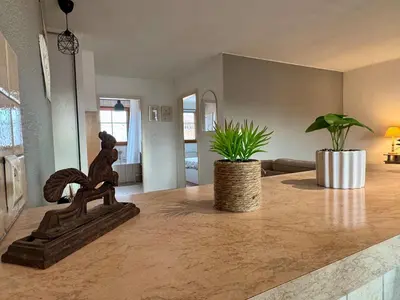 Plan de l'établissement Spacieux appartement calme au coeur de Rouffach