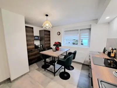 Cuisine ou kitchenette dans l'établissement Appartement cosy Colmar centre avec parking