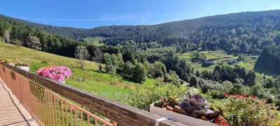Paysage naturel près de le B&B/chambre d'hôtes