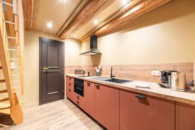 Cuisine ou kitchenette dans l'établissement Appartement Château Pape - Proche de Colmar