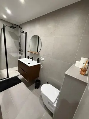 Salle de bains dans l'établissement Appart Cosy 2Ch & Parking - Près de Colmar