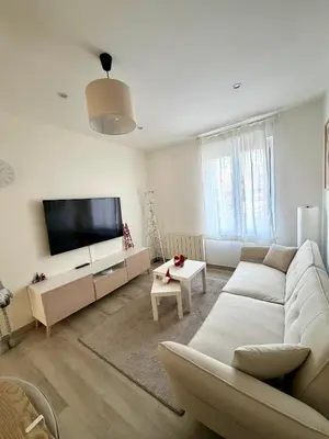 Télévision ou salle de divertissement dans l'établissement Appart Cosy 2Ch & Parking - Près de Colmar