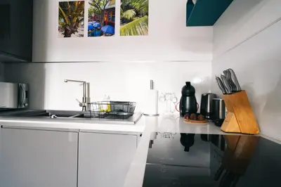 Cuisine ou kitchenette dans l'établissement Appartement hyper Centre Colmar , climatisé