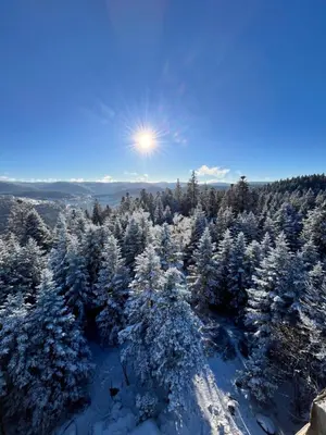Paysage naturel près de l'appartement