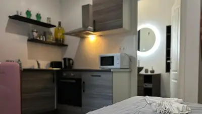 Cuisine ou kitchenette dans l'établissement Studio Sinne Mulhouse
