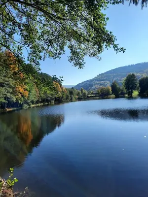Paysage naturel près de le chalet