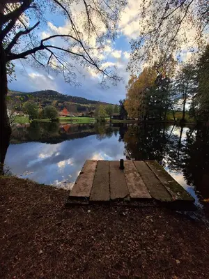 Paysage naturel près de le chalet