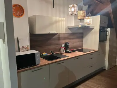 Cuisine ou kitchenette dans l'établissement Duplex la rose rouge - 4 people