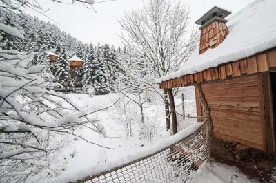 L'établissement Cabane du Pêcheur - Clairière aux cabanes - Bol d'air en hiver
