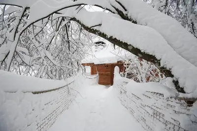 L'établissement Cabane du Pêcheur - Clairière aux cabanes - Bol d'air en hiver