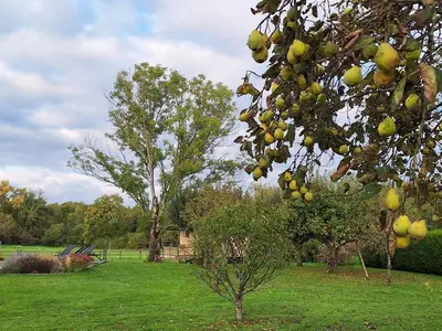 Jardin de l'établissement Roulotte & Respire