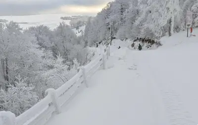 L'établissement Le Vosgien gite de groupe en hiver