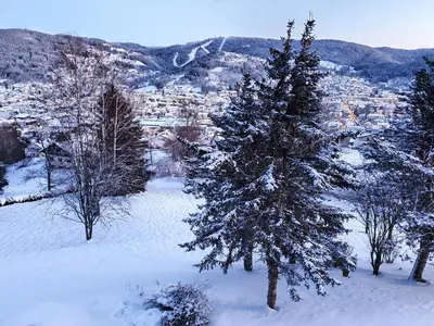 Plan de l'établissement Vue lac, superbe appart chaleureux & reposant