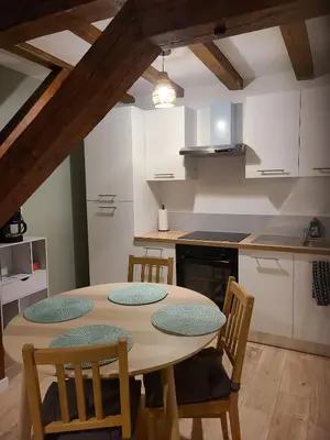 Cuisine ou kitchenette dans l'établissement Pampa - Mulhouse proche centre