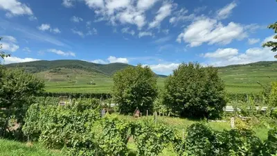 Paysage naturel près de l'appartement