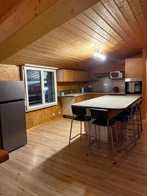 Cuisine ou kitchenette dans l'établissement Appartement jusqu à 6 personnes à Reguisheim