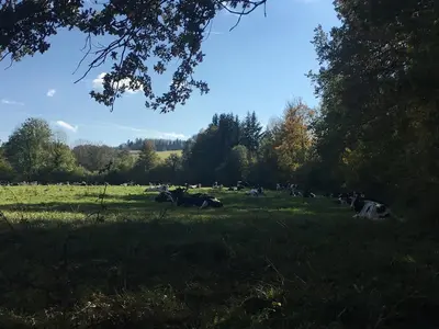 Paysage naturel près de la maison de vacances