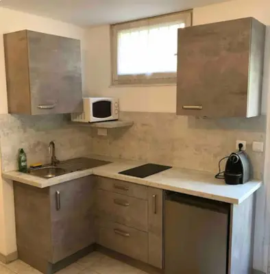 Cuisine ou kitchenette dans l'établissement Studio cosy proche Colmar