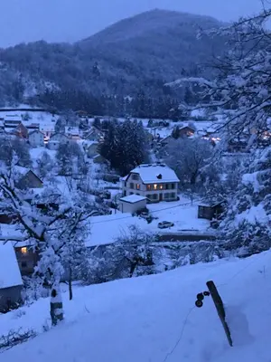 L'établissement Chambres d'hôtes Le Jardin de Rosalie en hiver