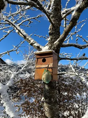 L'établissement Chambres d'hôtes Le Jardin de Rosalie en hiver