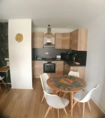 Cuisine ou kitchenette dans l'établissement Le Cocon du Lion