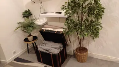 Plan de l'établissement Mulhouse Gare Studio Wifi