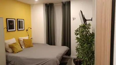 Un ou plusieurs lits dans un hébergement de l'établissement Mulhouse Gare Studio Wifi
