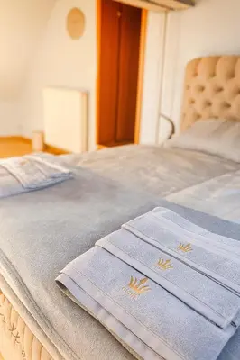 Plan de l'établissement Cosy Entire House near Basel & Mulhouse Airport - VIP Homes - Parking