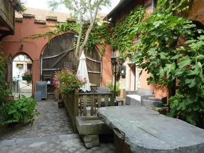Jardin de l'établissement Chez Norbert
