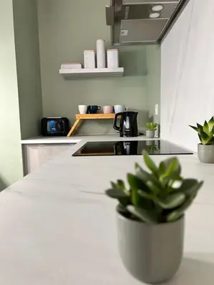 Cuisine ou kitchenette dans l'établissement City & Cozy - La Cavalerie Alsacienne