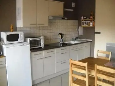 Cuisine ou kitchenette dans l'établissement Apartment Wohnung am Rheinufer in Kunheim by Interhome