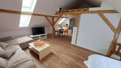 Télévision ou salle de divertissement dans l'établissement Large Private Room Near Colmar Center with Free Public Parking