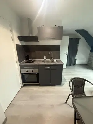 Cuisine ou kitchenette dans l'établissement Bel appartement calme