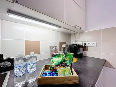 Cuisine ou kitchenette dans l'établissement Les trois frontières aéroport de Bâle