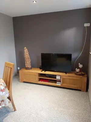 Télévision ou salle de divertissement dans l'établissement Gîte d'ammerschwihr